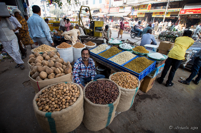 A Man surrounded by bags of spices, Chandni Chowk, Old Delhi India