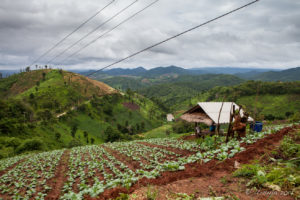 Hills of Mae Hong Son planted with vegetables, Thailand