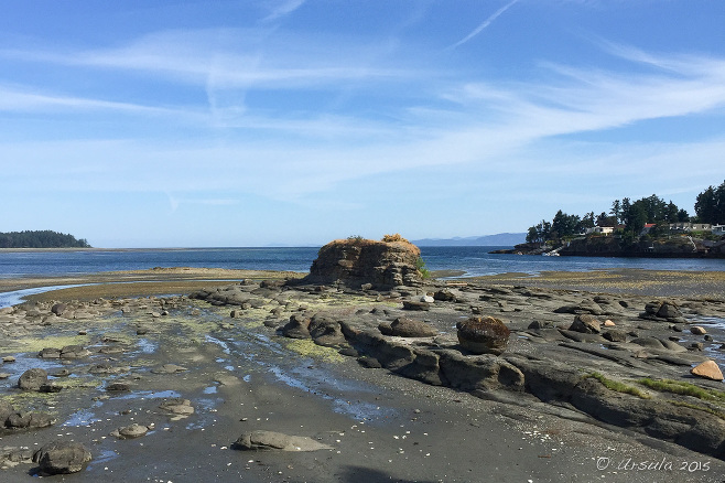 Rocky outcrops on Craig Bay, Nanoose Bay BC Canada.