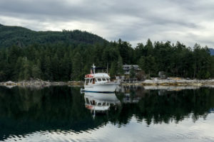 Motor cruiser on Ballet Bay, BC