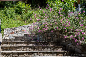 Stone Steps at Lund, BC Canada
