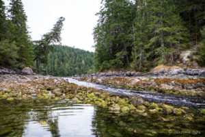 Rocky Stream into Squirrel Cove, Cortes Island BC Canada