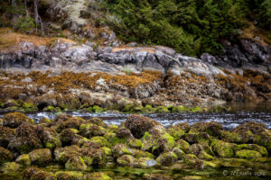 Rocky Stream into Squirrel Cove, Cortes Island BC Canada
