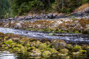 Rocky Stream into Squirrel Cove, Cortes Island BC Canada