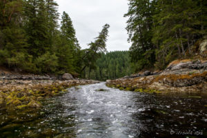 Rocky Stream into Squirrel Cove, Cortes Island BC Canada