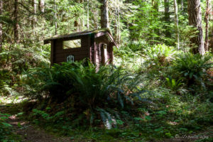 Wooden Provincial Park toilet block, Melanie Cove, BC Canada