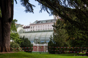 Art nouveau palm house, Vienna Austria
