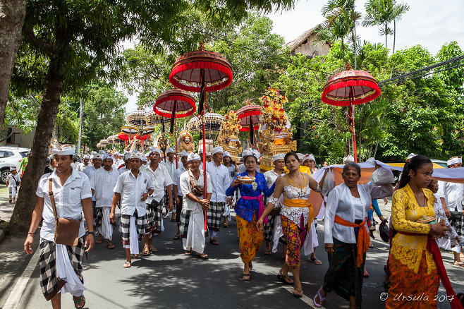  A Procession of Balinese Hindus from a temple festival, Ubud Indonesia