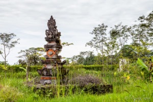 Shrine in a Balinese Rice Terrace, Ubud