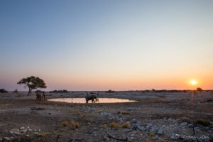 The King Nehale Waterhole in afternoon light, Etosha National Park, Namibia