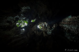 Look up through the limestone of Marble Mountains, Vietnam