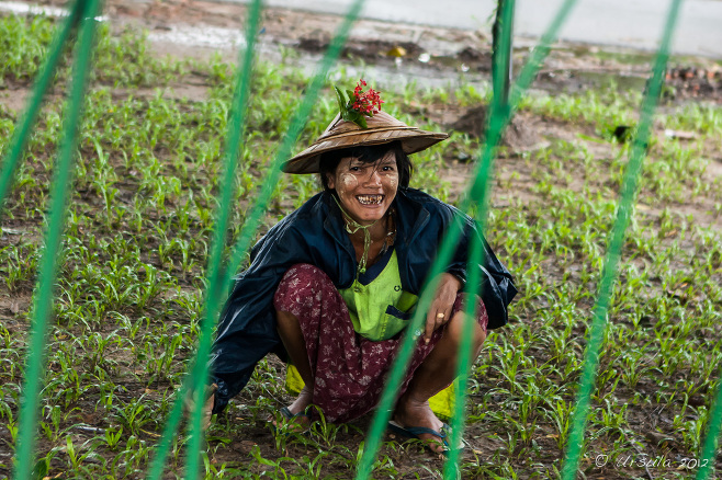 Portrait: Burmese woman gardener, Yangon, Myanmar