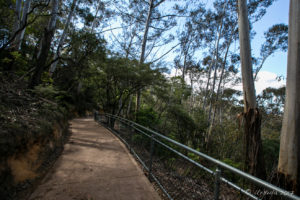 Walkway to the Three Sisters, Katoomba Australia