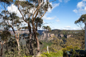 View through gum trees over the Jamison Valley, Katoomba Australia