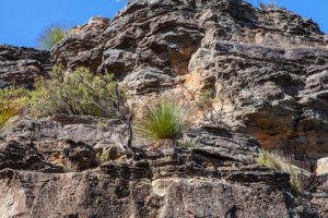 Closeup of the top of the First Sister, Katoomba Australia