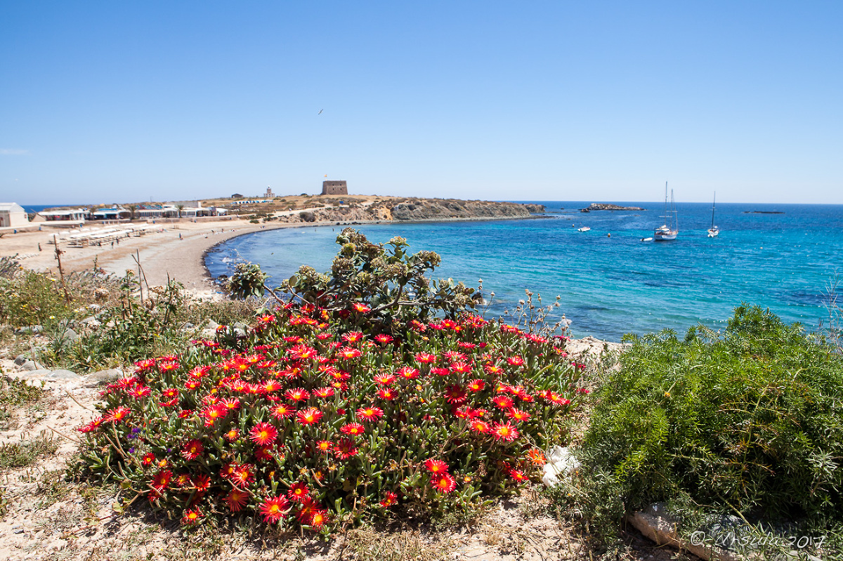 how much is tobacco in malaga airport Duty Free Malaga Airport: Tax & Duty Free Allowances Guide