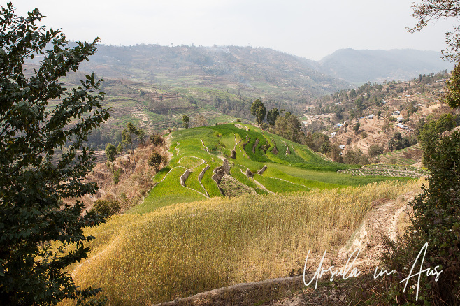 Looking down over terraces and hills, Nagarkot to Sankhu, Nepal 