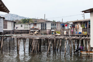 Houses and Walkways, Hanuabada Village, Papua New Guinea