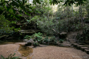 Stepping stones at the Pool of Siloam, Blue Mountains National Park, AU