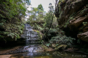 Pool of Siloam, Blue Mountains National Park, AU