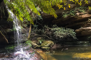 Pool of Siloam, Blue Mountains National Park, AU