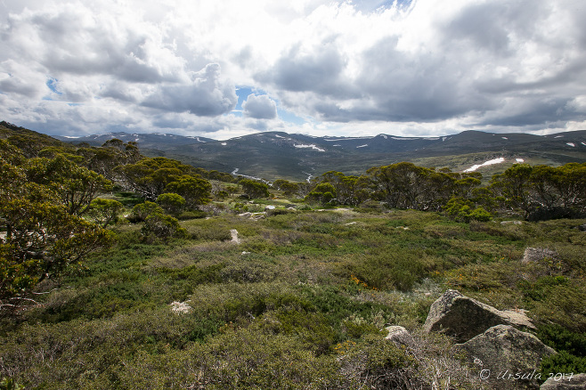 The Main Range, Kosciuszko National Park AU