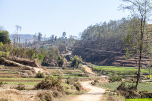 Dirt path rising through Nepali terraces, Panauti-Namobuddha Rd, Nepal