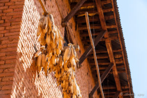 Corn hanging from the eaves of a Nepali home, Panauti-Namobuddha Rd