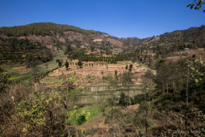 Houses on a steep, terraced hillside, Panauti-Namobuddha Rd, Nepal