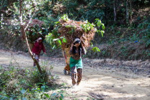 Nepali women with overflowing baskets on head straps, Panauti-Namobuddha Rd, Nepal