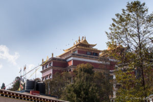 Thrangu Tashi Yangtse Monastery, Namo Buddha