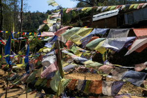 Buddhist prayer flags fluttering, Panauti-Namobuddha Rd, Nepal