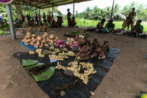Market Yams, Taro and Ginger for sale, Maprik PNG