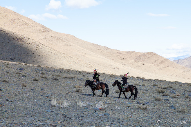Two Kazakhs on horseback with eagles on a dusty hill, Bayan-Ölgii Mongolia