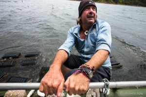 Oyster farmer over the side of his punt, Pambula Lake, Australia
