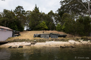 Disused Oyster Trays, Pambula River, Australia