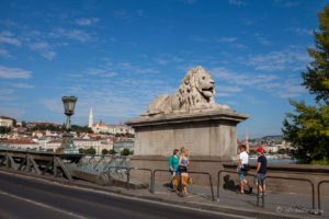 Stone lion statues on Chain Bridge, Budapest Hungary