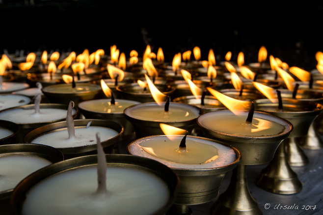 Prayer Lamps, lit and unlit, Thrangu Tashi Yangtse Monastery, Namo Buddha Nepal