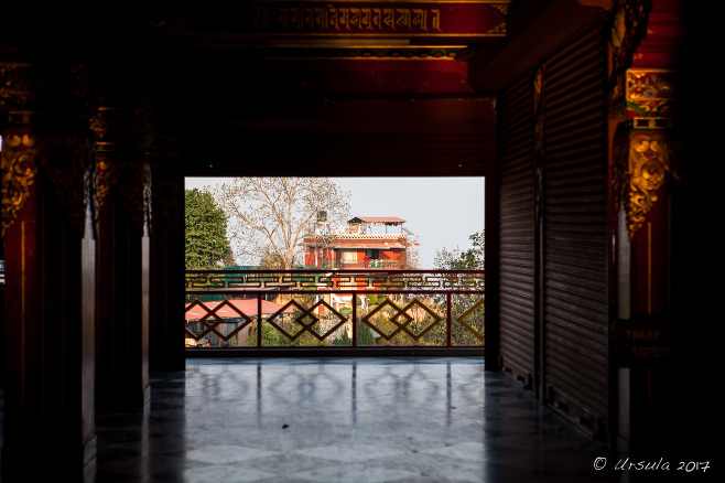 Afternoon view from Thrangu Tashi Yangtse Monastery, Namo Buddha Nepal