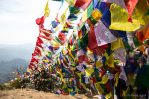 Masses of prayer flags, Thrangu Tashi Yangtse Monastery, Namo Buddha Nepal