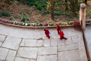 Three monks on the path, Thrangu Tashi Yangtse Monastery, Namo Buddha Nepal