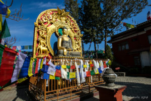 Stone Statue of Buddha, Thrangu Tashi Yangtse Monastery, Namo Buddha Nepal