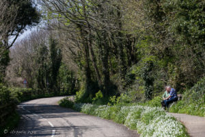 Couple on a Bench, Castle Drive, Falmouth Cornwall UK