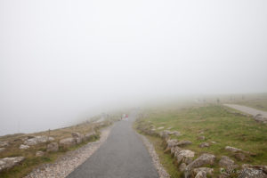 Path into fog, Land's End UK