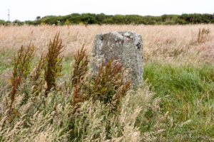 A granite megaliths of the Merry Maidens surrounded by wet grass, Cornwall, UK