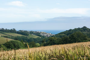 Landscape around Pentewan Cornwall UK