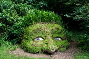 The Giant’s Head, Lost Gardens of Heligan, Cornwall UK