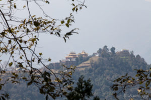 Looking Back at the Thrangu Tashi Yangtse Monastery, Kathmandu Valley Nepal