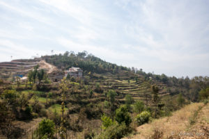 Terraced Hill, Namobuddha to Dhulikhel, Kathmandu Valley