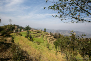 View over terraced hills, Namobuddha to Dhulikhel, Kathmandu Valley